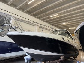 Searay 305 Sundancer Usato 2010